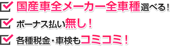 maintenance_txt01 国産車全メーカー全車種選べる!ボーナス払い無し!各種税金・車検もコミコミ!