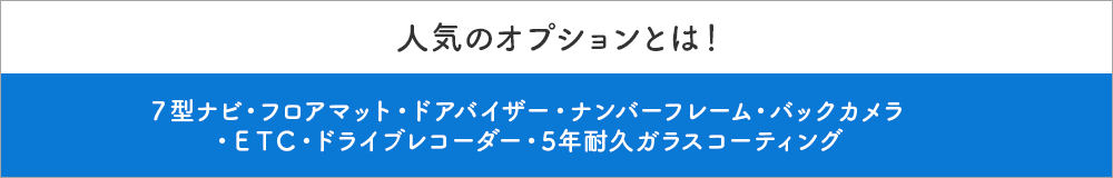 midashi_3txt2 人気のオプションとは